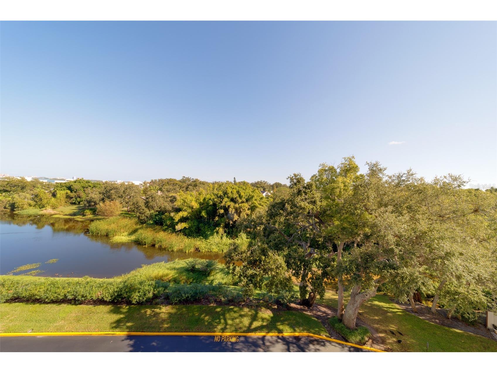 220 Belleview Boulevard #504 Belleair FL 33756 TB8440309 image43