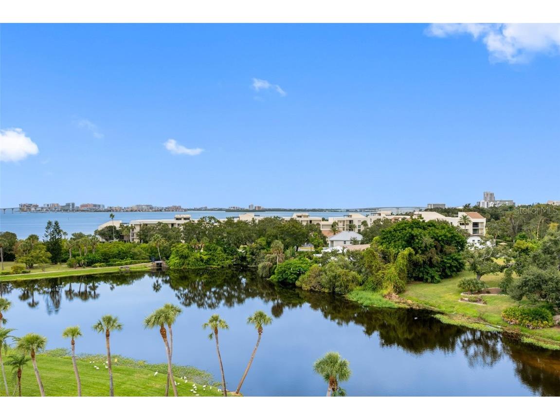 220 Belleview Boulevard #609 Belleair FL 33756 - HAROLD'S LAKE TB8449142 image13