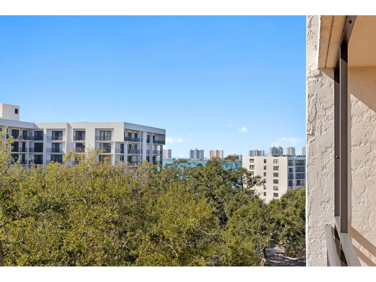 220 Belleview Boulevard #702 Belleair FL 33756 - Lake Harold TB8461552 image29