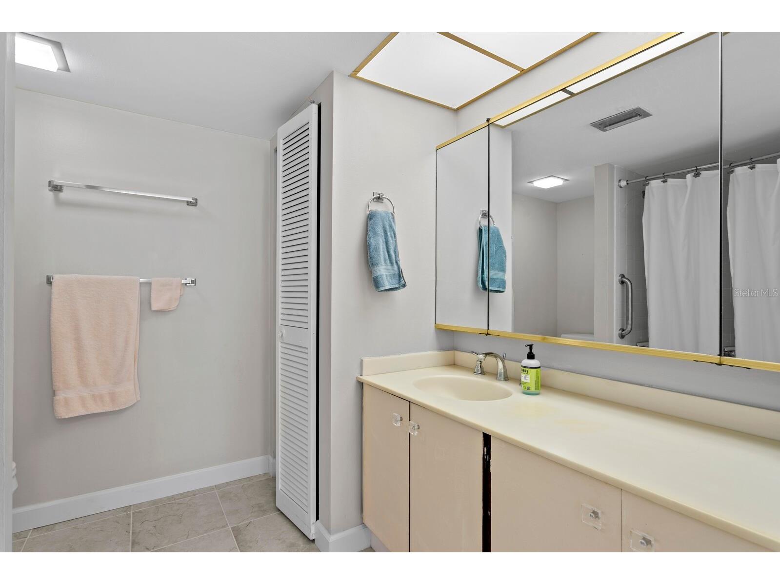 220 Belleview Boulevard #702 Belleair FL 33756 - Lake Harold TB8461552 image31