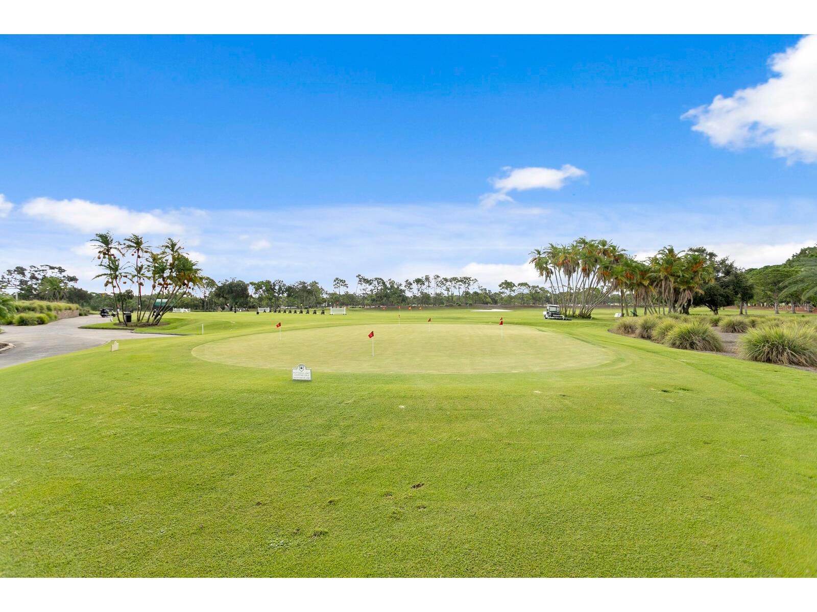 220 Belleview Boulevard #702 Belleair FL 33756 - Lake Harold TB8461552 image33