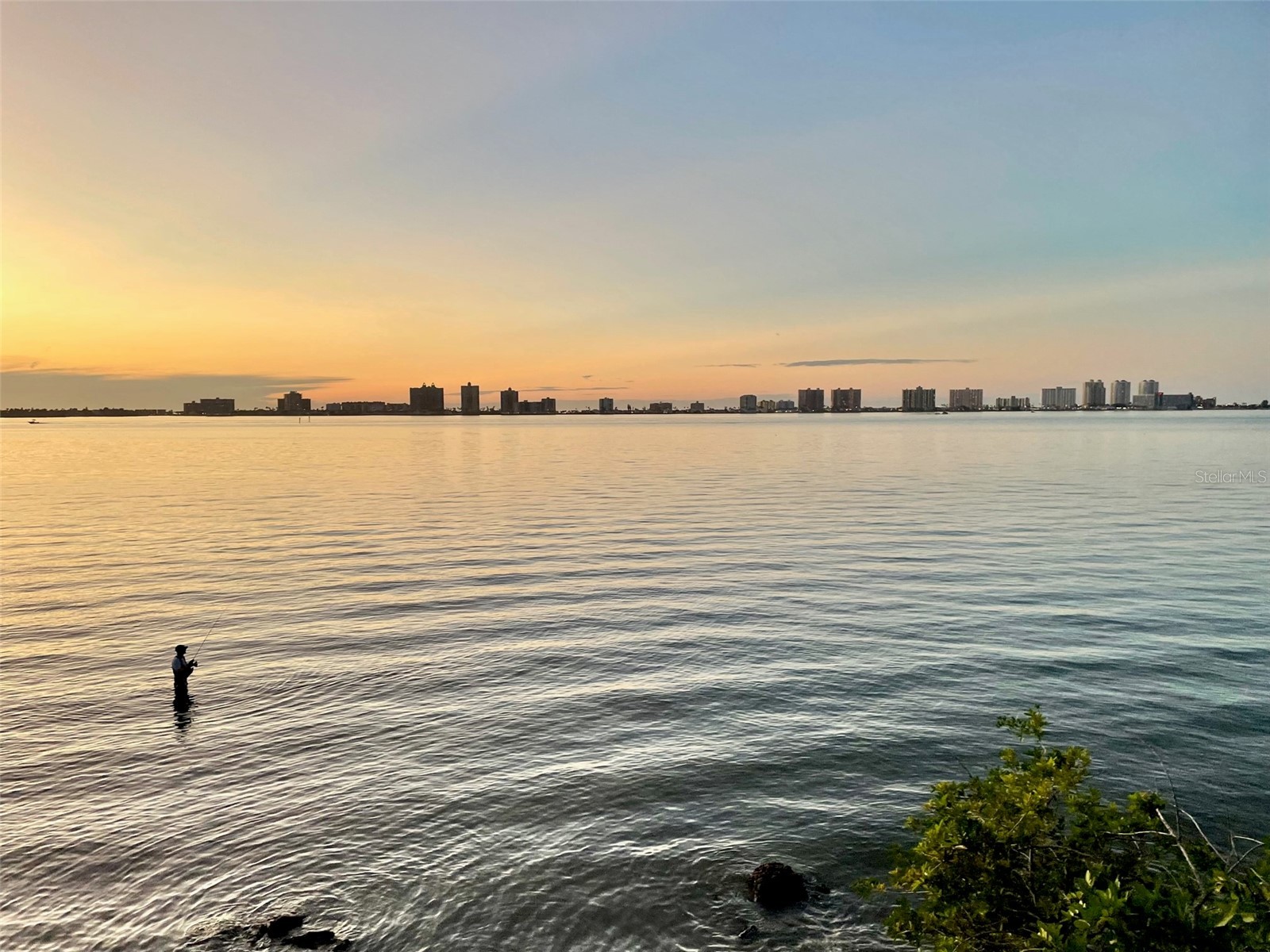 220 Belleview Boulevard #702 Belleair FL 33756 - Lake Harold TB8461552 image43