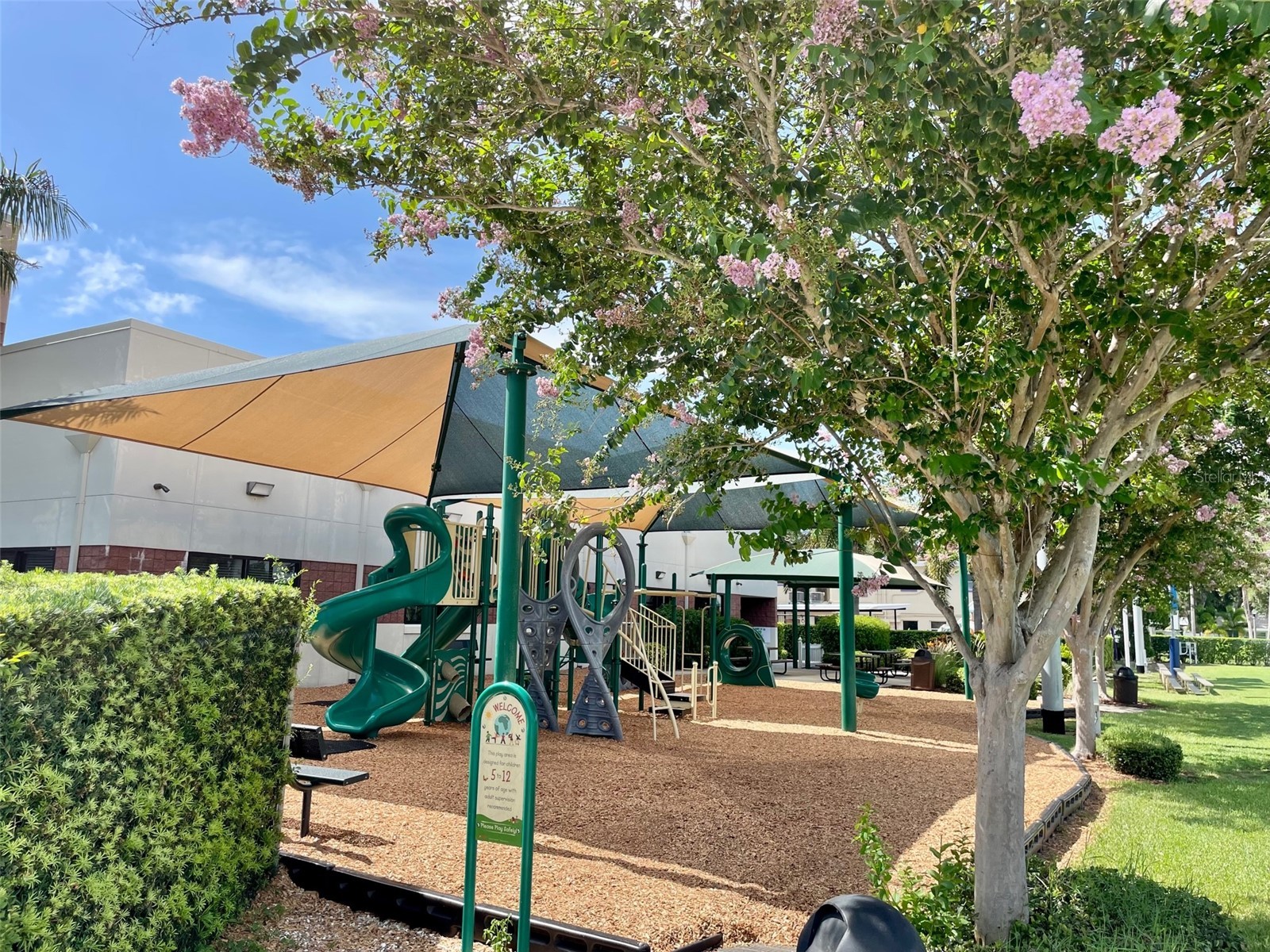 220 Belleview Boulevard #702 Belleair FL 33756 - Lake Harold TB8461552 image46