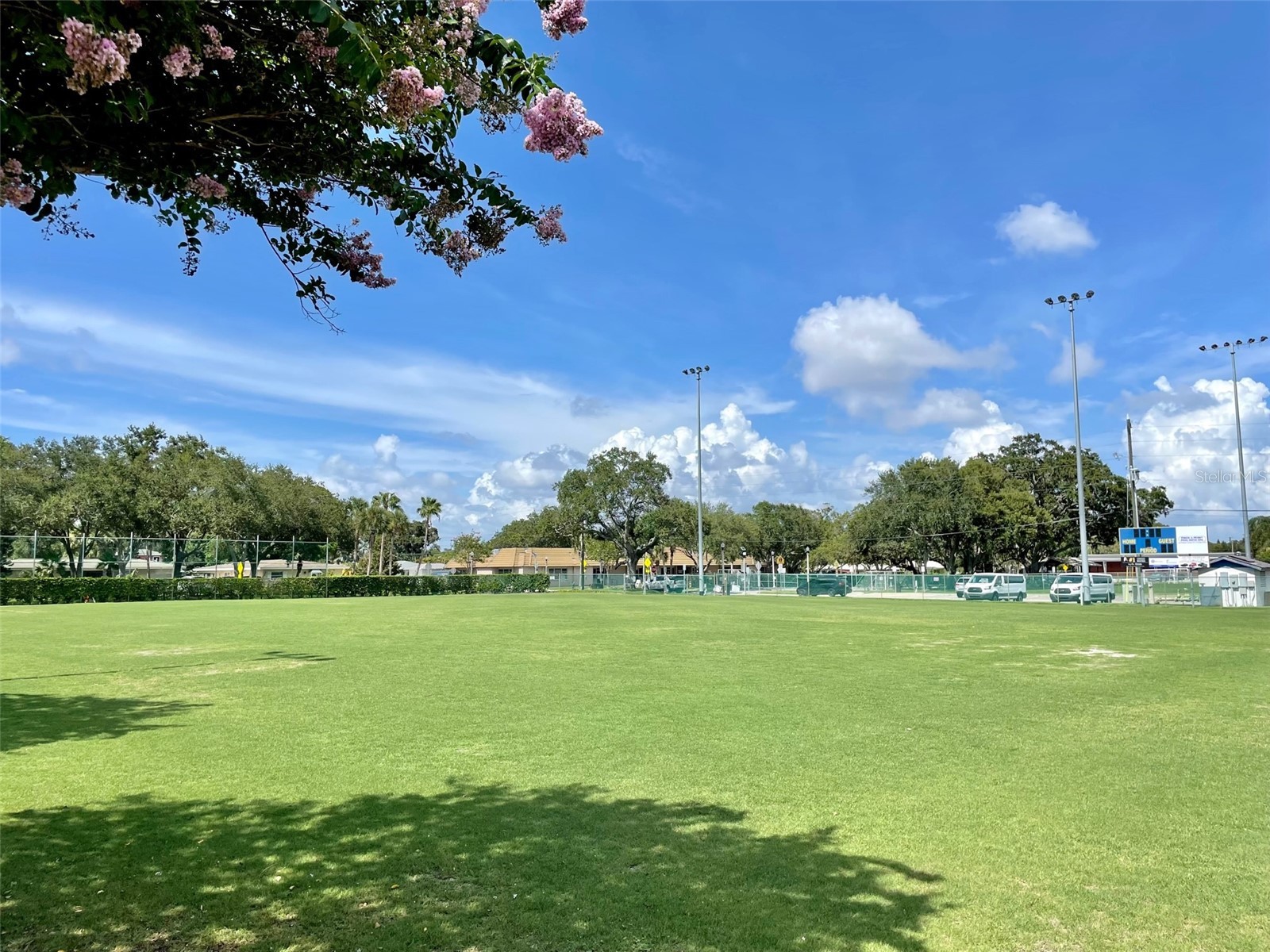 220 Belleview Boulevard #702 Belleair FL 33756 - Lake Harold TB8461552 image47