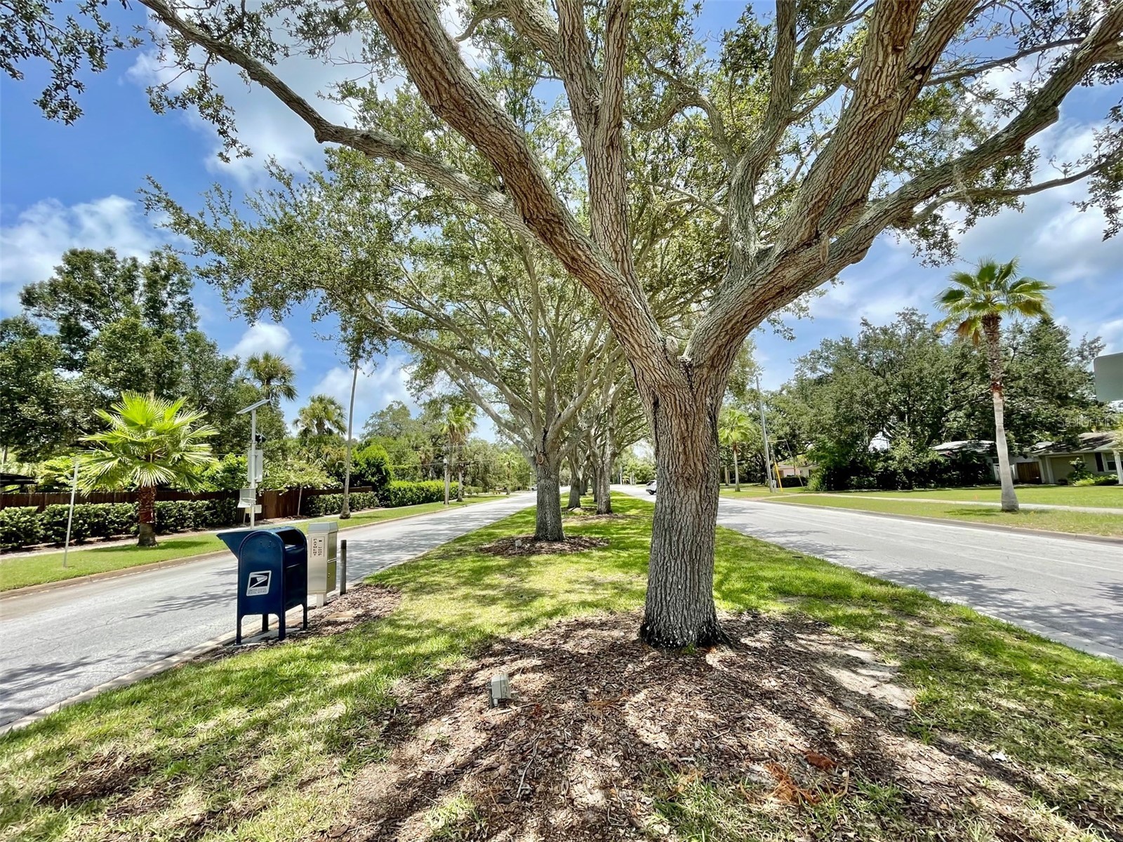 220 Belleview Boulevard #702 Belleair FL 33756 - Lake Harold TB8461552 image49
