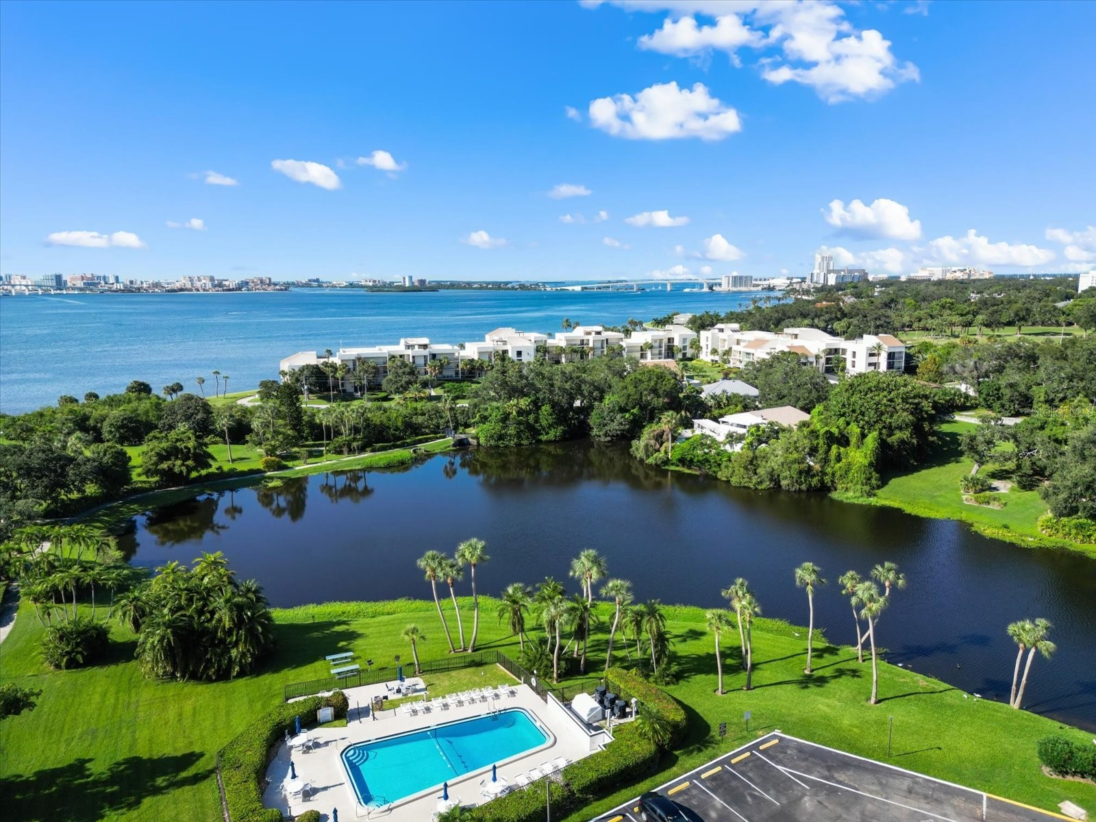 220 Belleview Boulevard #702 Belleair FL 33756 - Lake Harold TB8461552 image5