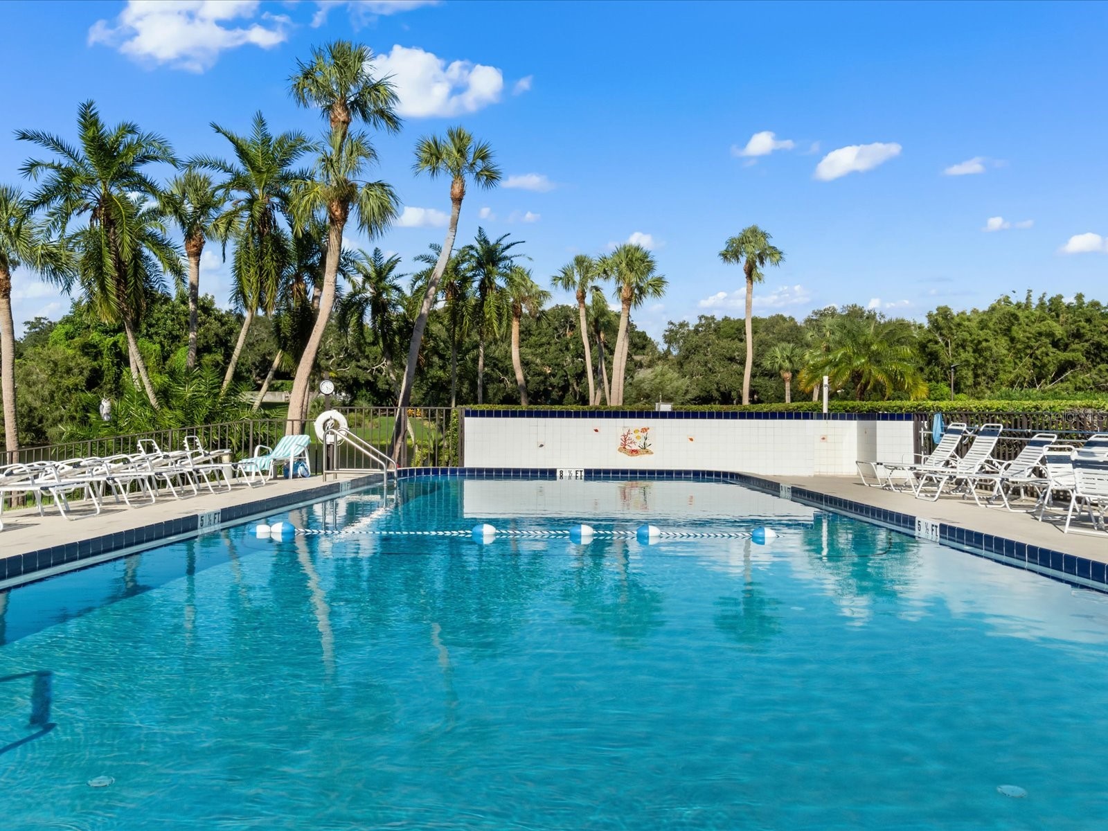 220 Belleview Boulevard #702 Belleair FL 33756 - Lake Harold TB8461552 image6