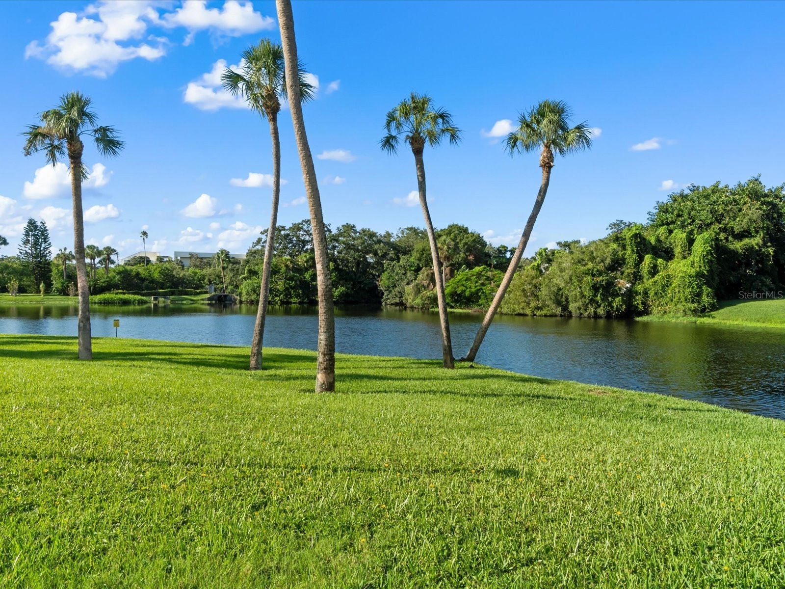 220 Belleview Boulevard #702 Belleair FL 33756 - Lake Harold TB8461552 image9
