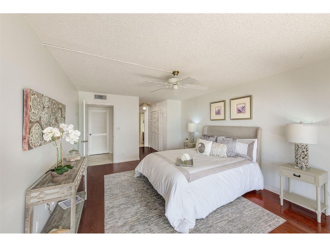 220 Belleview Boulevard #802 Belleair FL 33756 TB8310697 image11