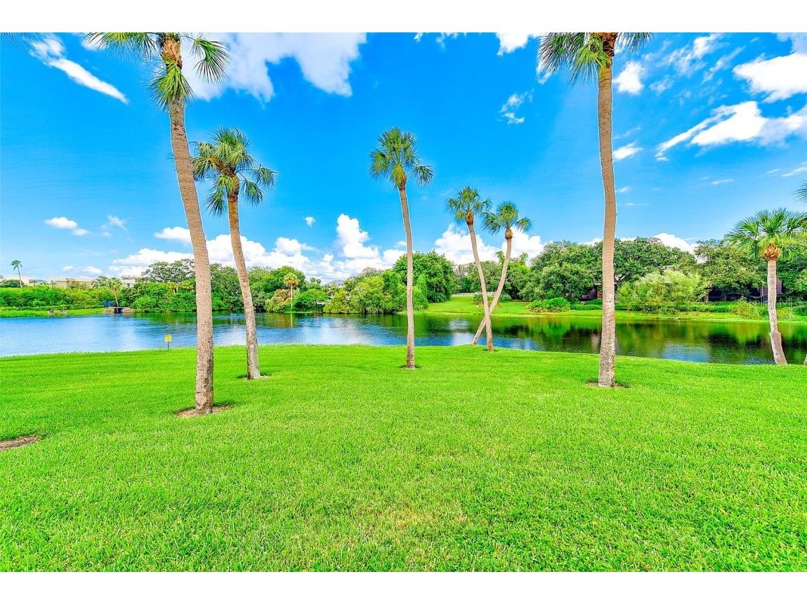 220 Belleview Boulevard #802 Belleair FL 33756 TB8310697 image38