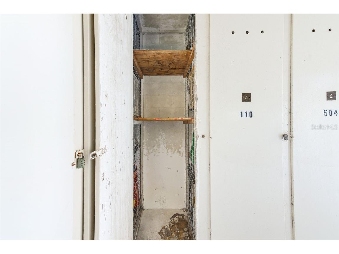 220 Belleview Boulevard #802 Belleair FL 33756 TB8310697 image41