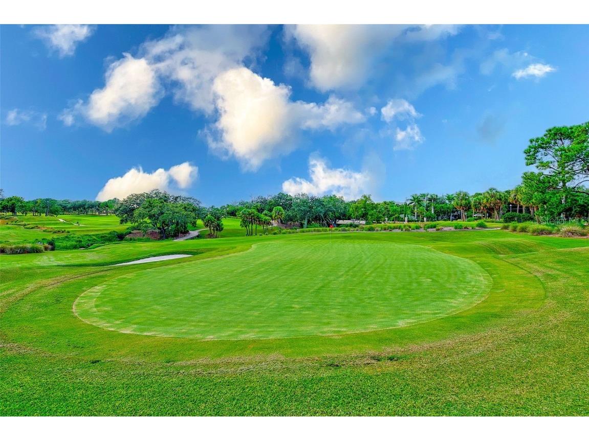 220 Belleview Boulevard #802 Belleair FL 33756 TB8310697 image47