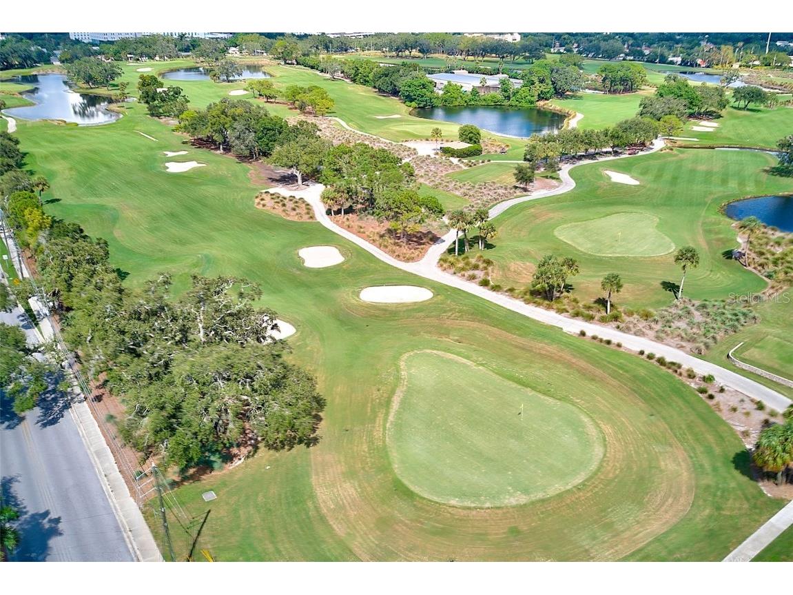 220 Belleview Boulevard #802 Belleair FL 33756 TB8310697 image59