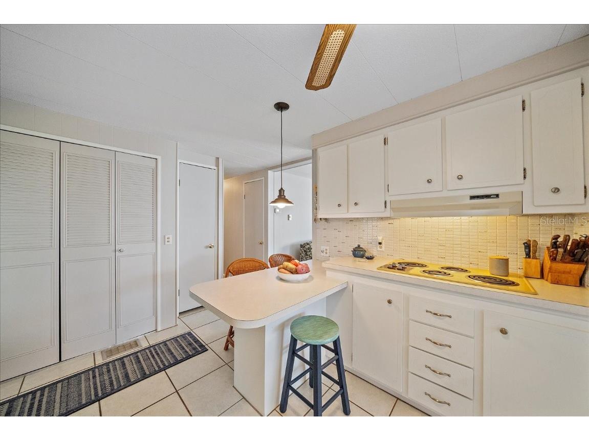 220 Bimini Drive Palmetto FL 34221 A4674261 image28