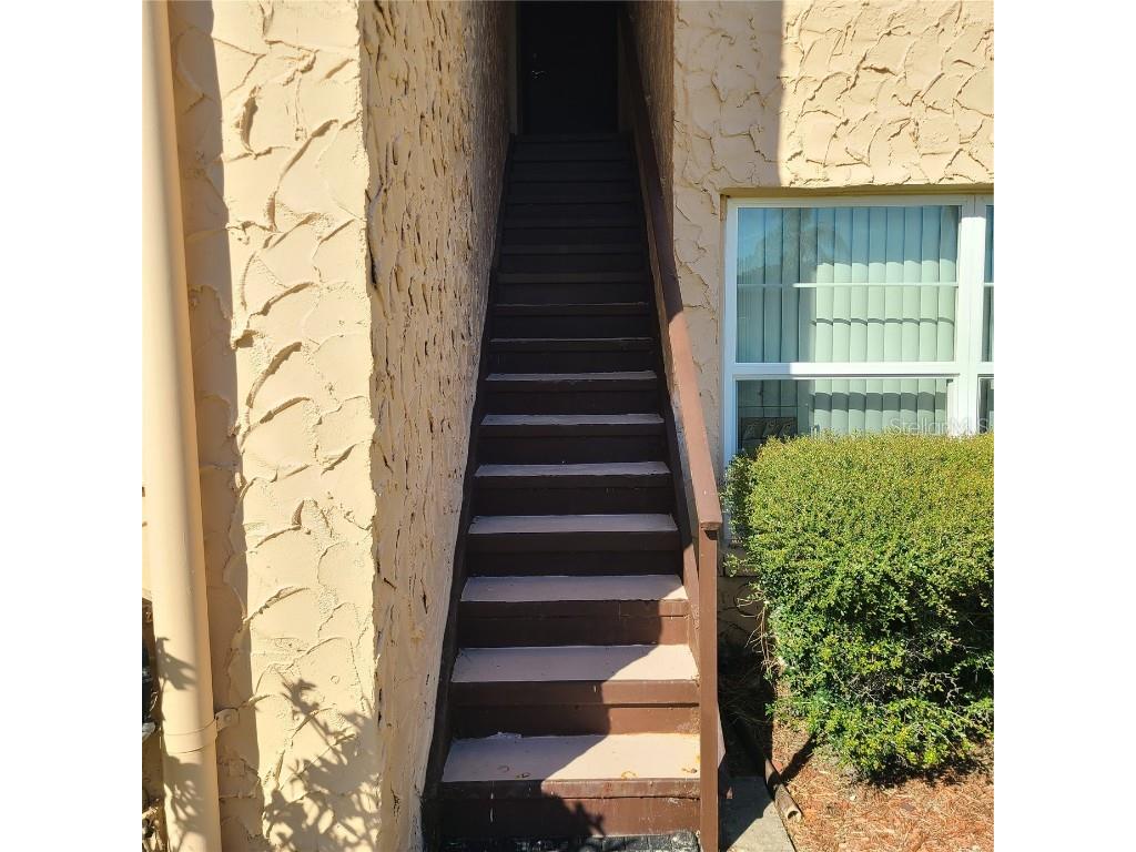 220 Buttonwood Circle #220 Seminole FL 33777 TB8445583 image46