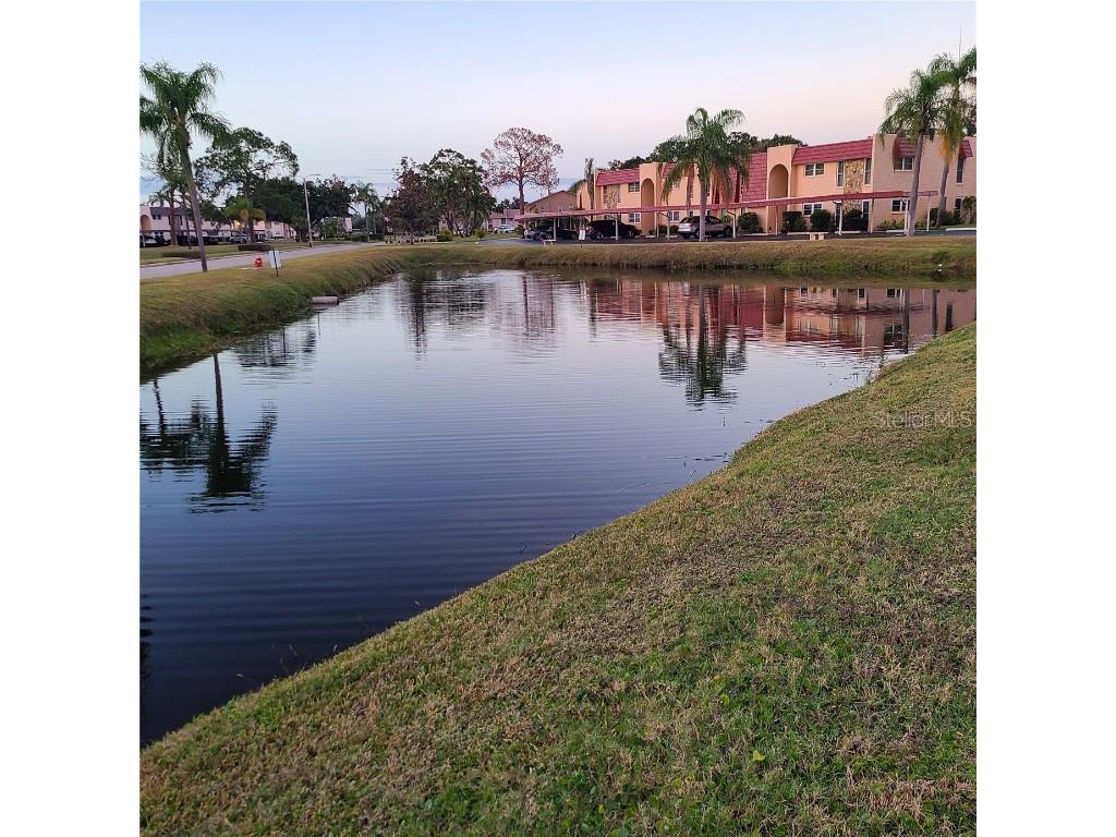 220 Buttonwood Circle #220 Seminole FL 33777 TB8445583 image52