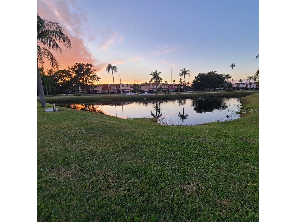 220 Buttonwood Circle #220 Seminole FL 33777 TB8445583 image53