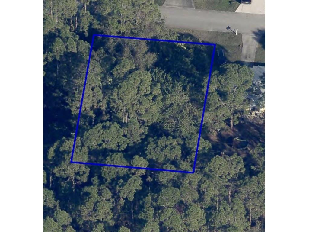 220 Cactus Street SE Palm Bay FL 32909 O6359000 image1