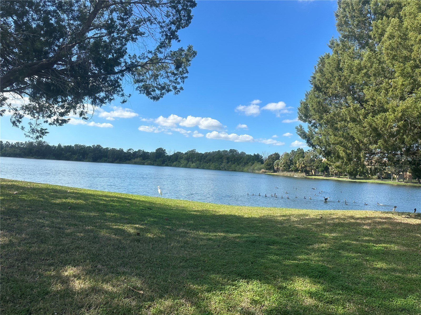 220 Cape Harbour Loop #108 Bradenton FL 34212 A4700935 image11