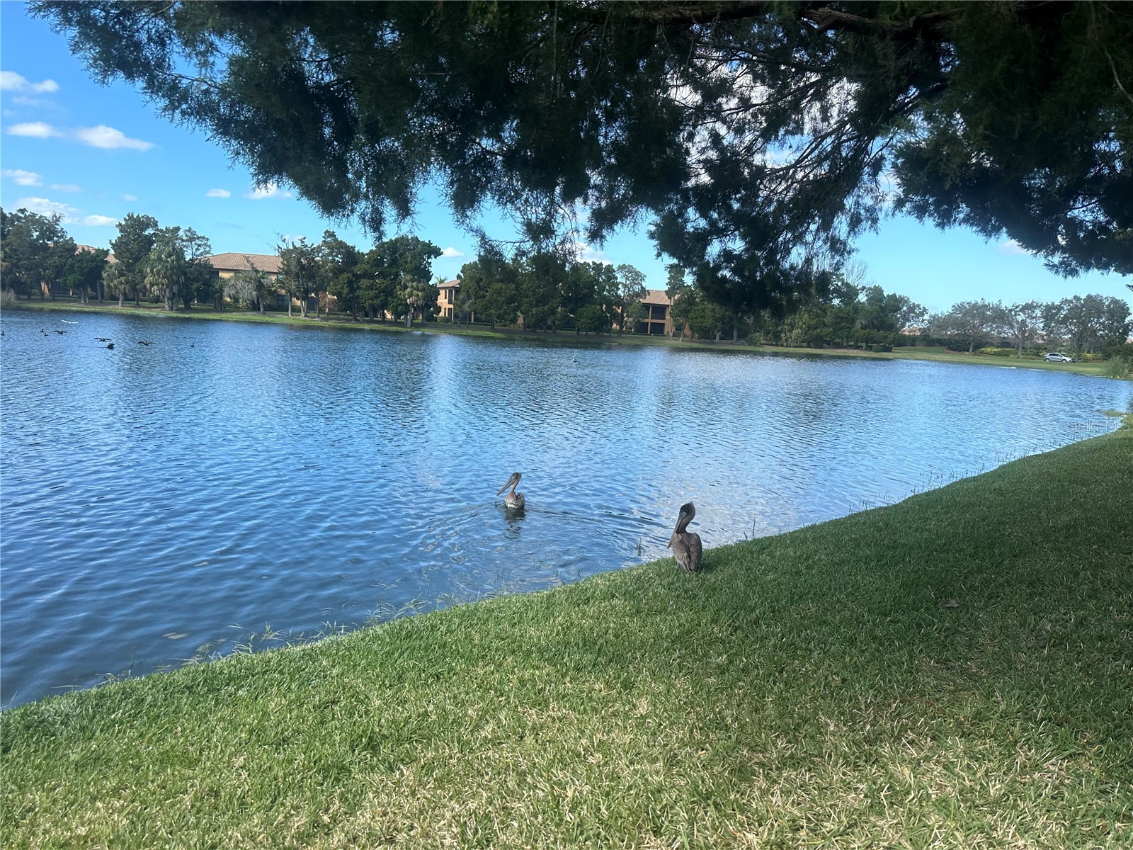 220 Cape Harbour Loop #108 Bradenton FL 34212 A4700935 image12
