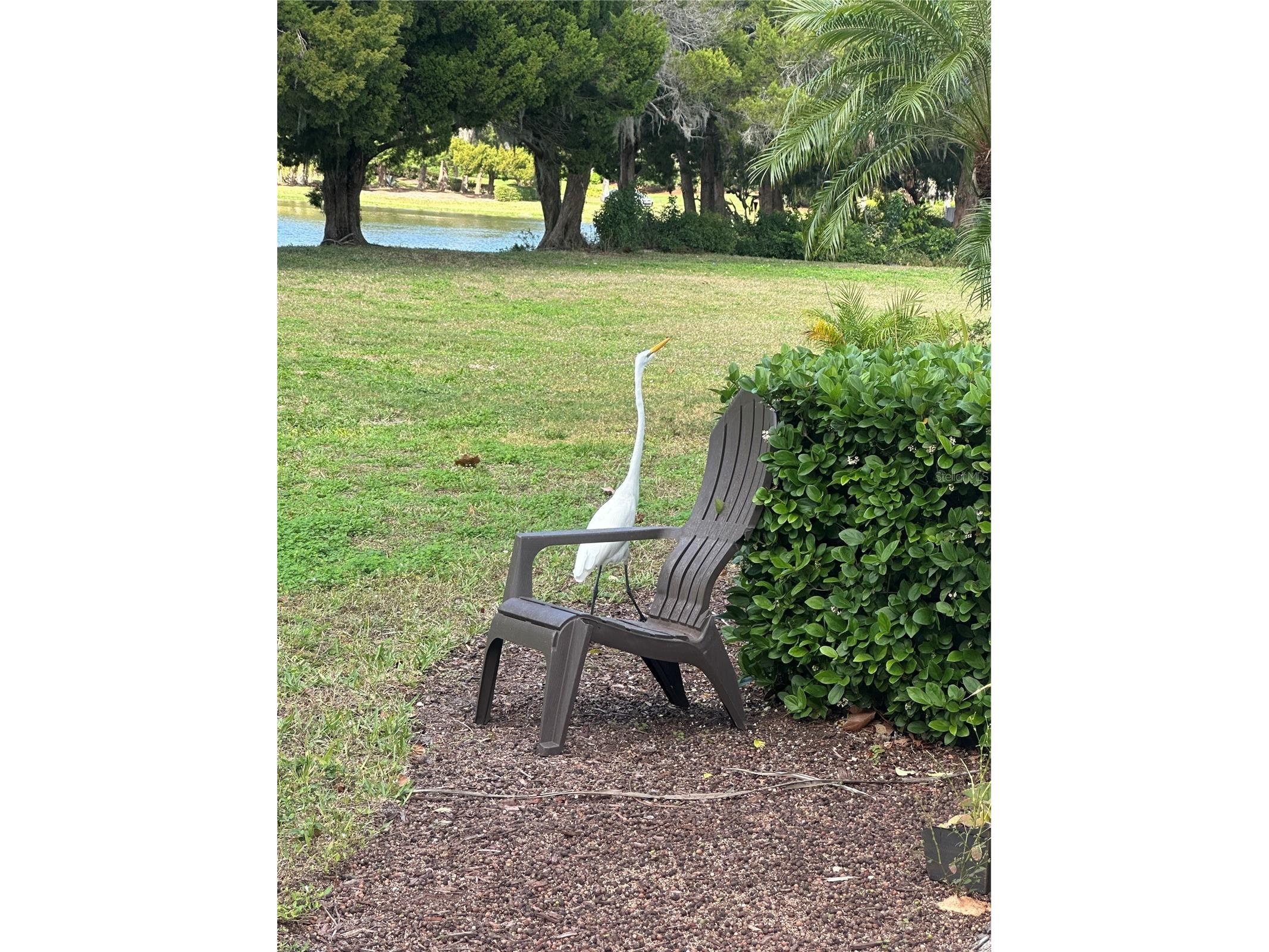 220 Cape Harbour Loop #108 Bradenton FL 34212 A4700935 image13
