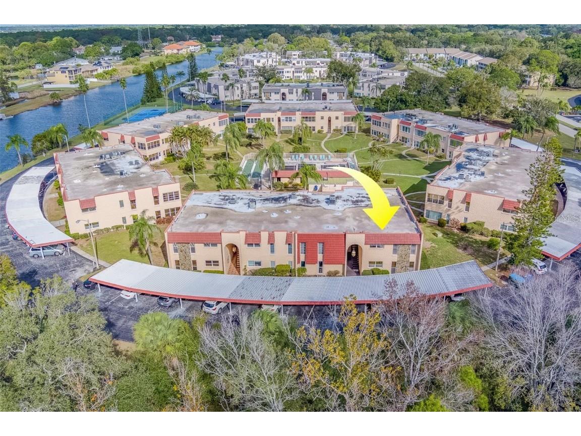 220 Dogwood Circle #220 Seminole FL 33777 TB8331772 image1