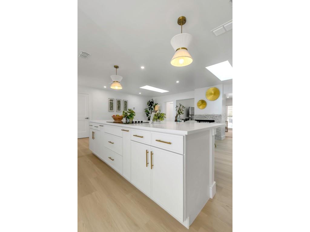 220 Driftwood Drive S Palm Harbor FL 34683 W7878564 image20