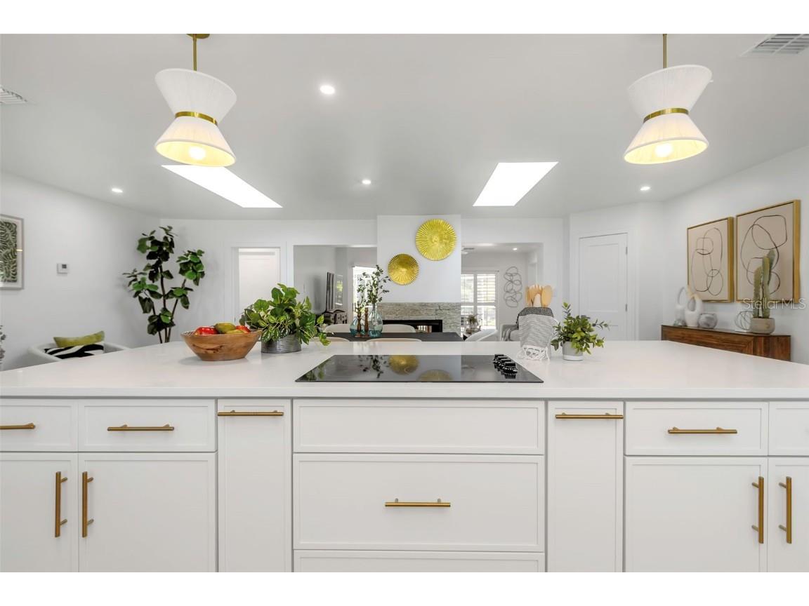 220 Driftwood Drive S Palm Harbor FL 34683 W7878564 image21