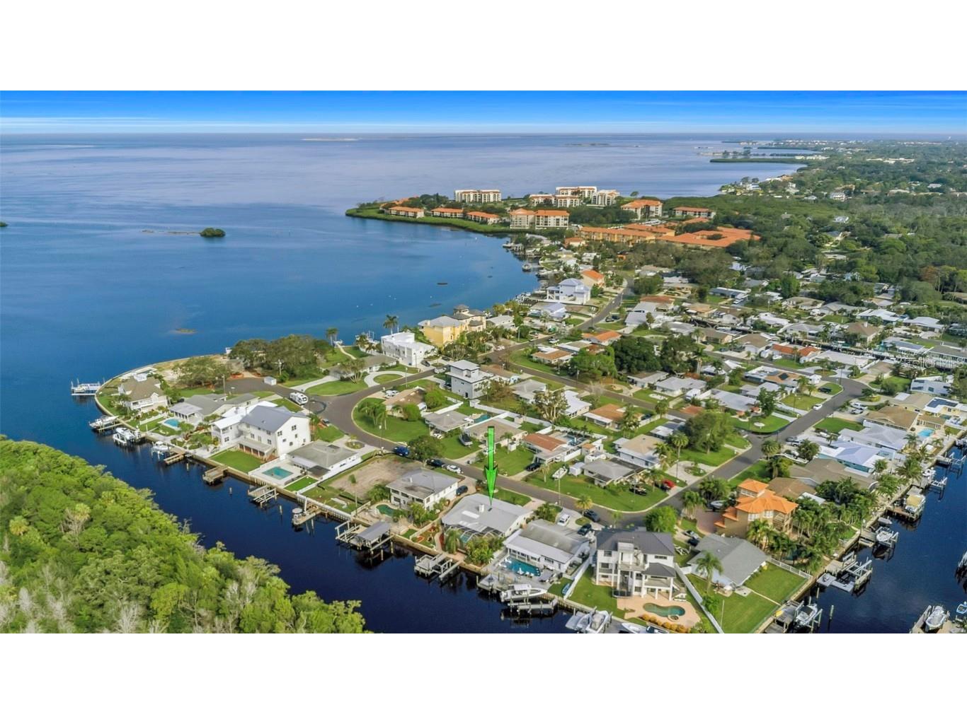 220 Driftwood Drive S Palm Harbor FL 34683 W7878564 image89