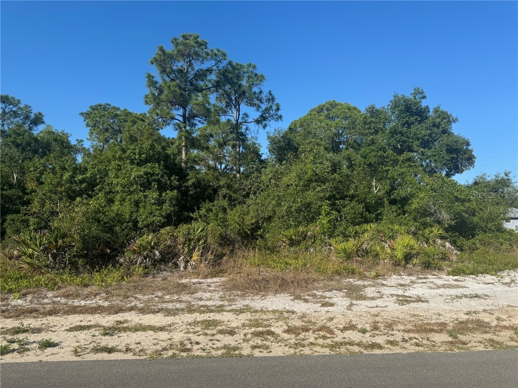 220 E Canal Way NE Lake Placid FL 33852 C7493255 image1