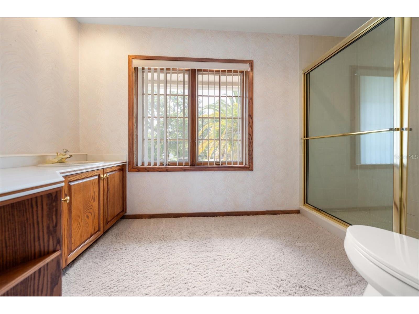220 Harbor View Lane Largo FL 33770 - INTRACOASTAL TB8521648 image55