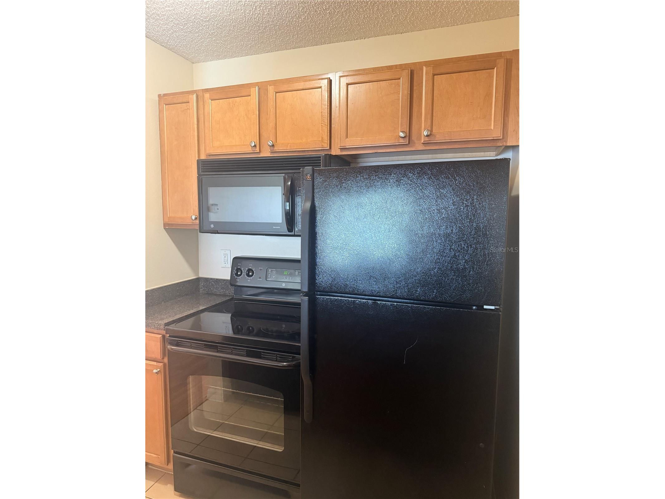 220 Lake Parsons Green #205 Brandon FL 33511 TB8522141 image10