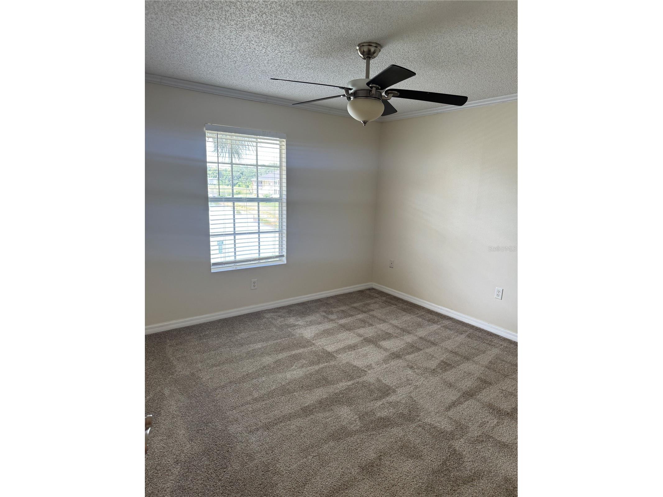 220 Lake Parsons Green #205 Brandon FL 33511 TB8522141 image12