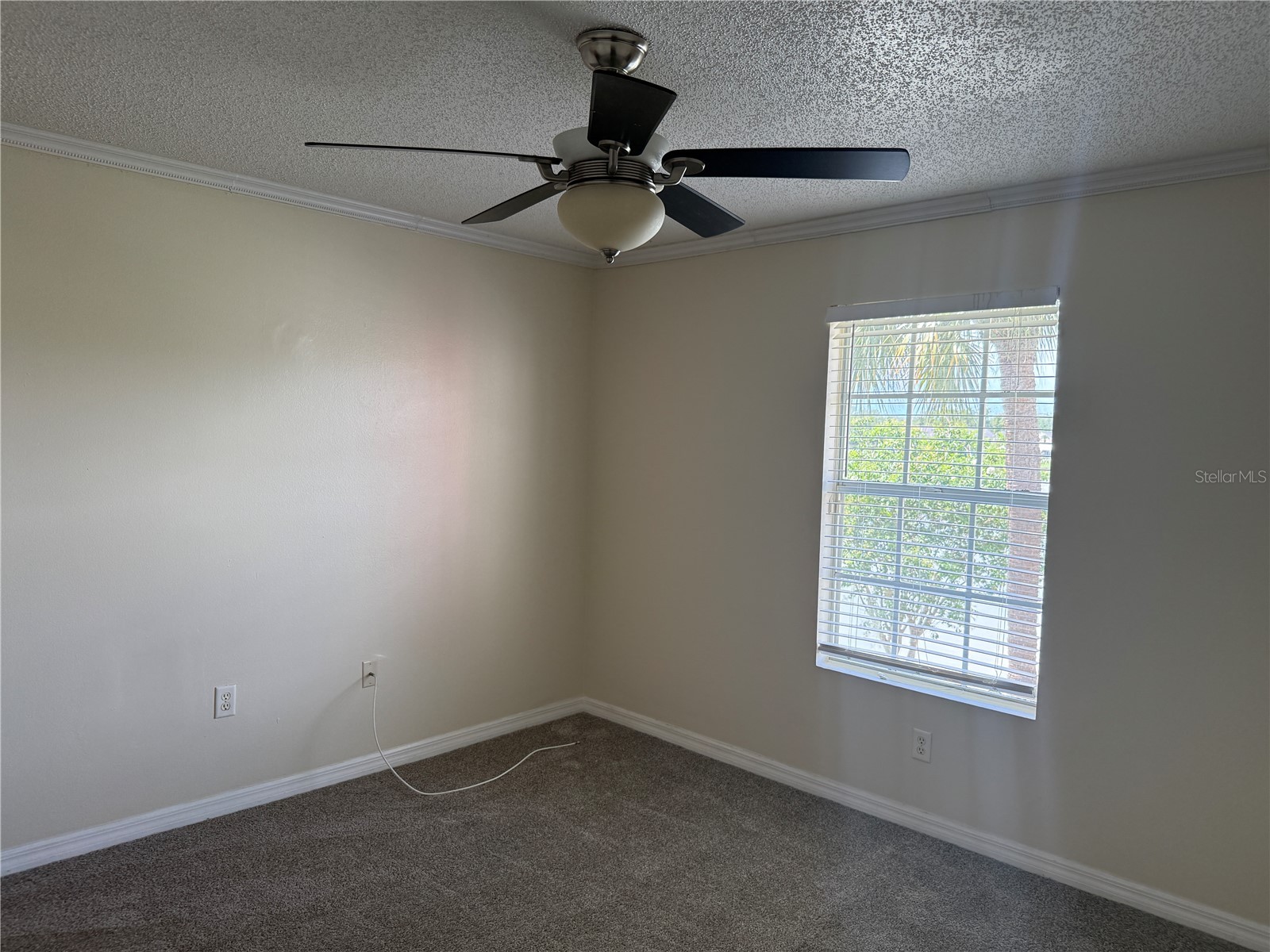 220 Lake Parsons Green #205 Brandon FL 33511 TB8522141 image15