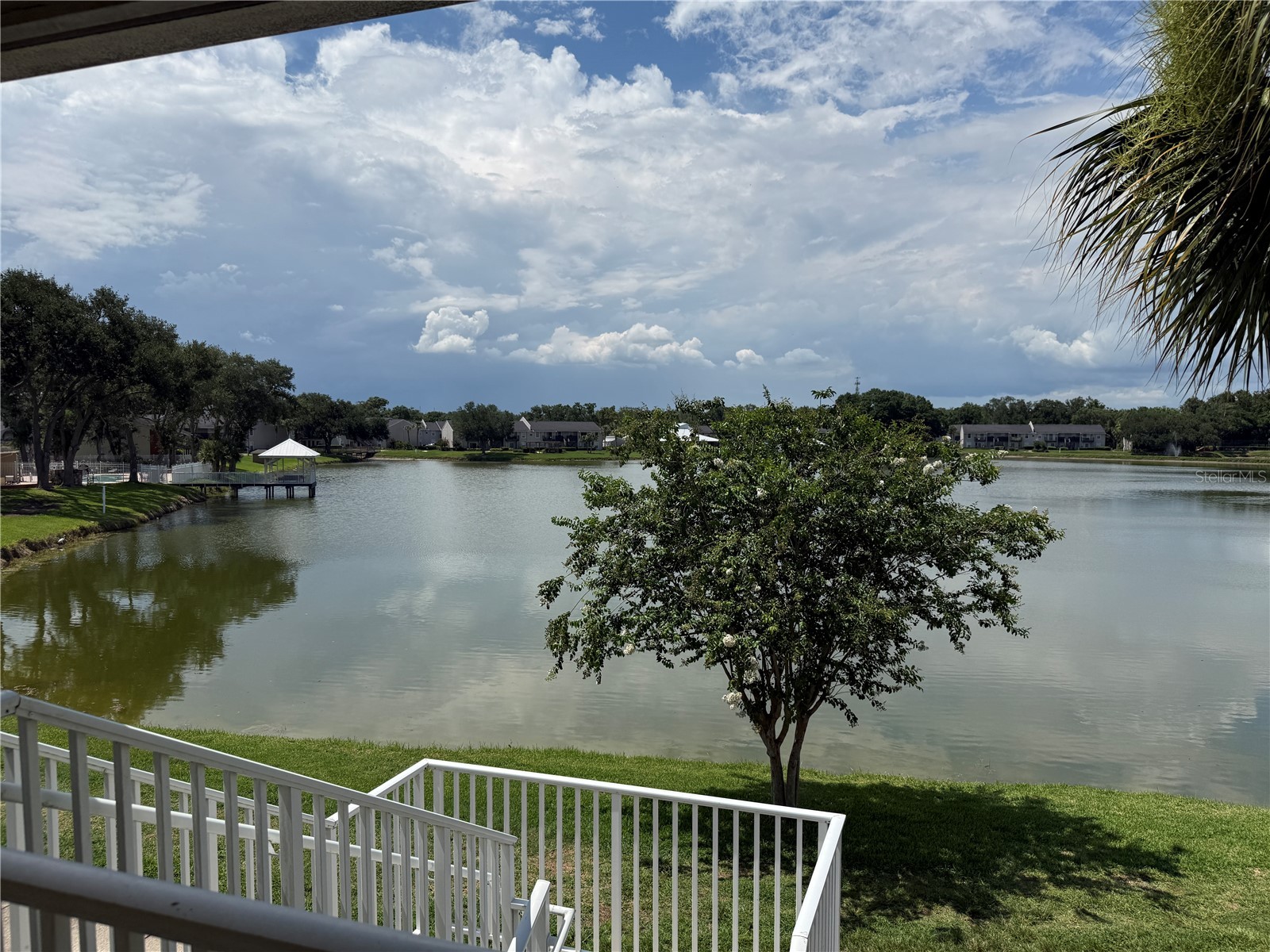 220 Lake Parsons Green #205 Brandon FL 33511 TB8522141 image2