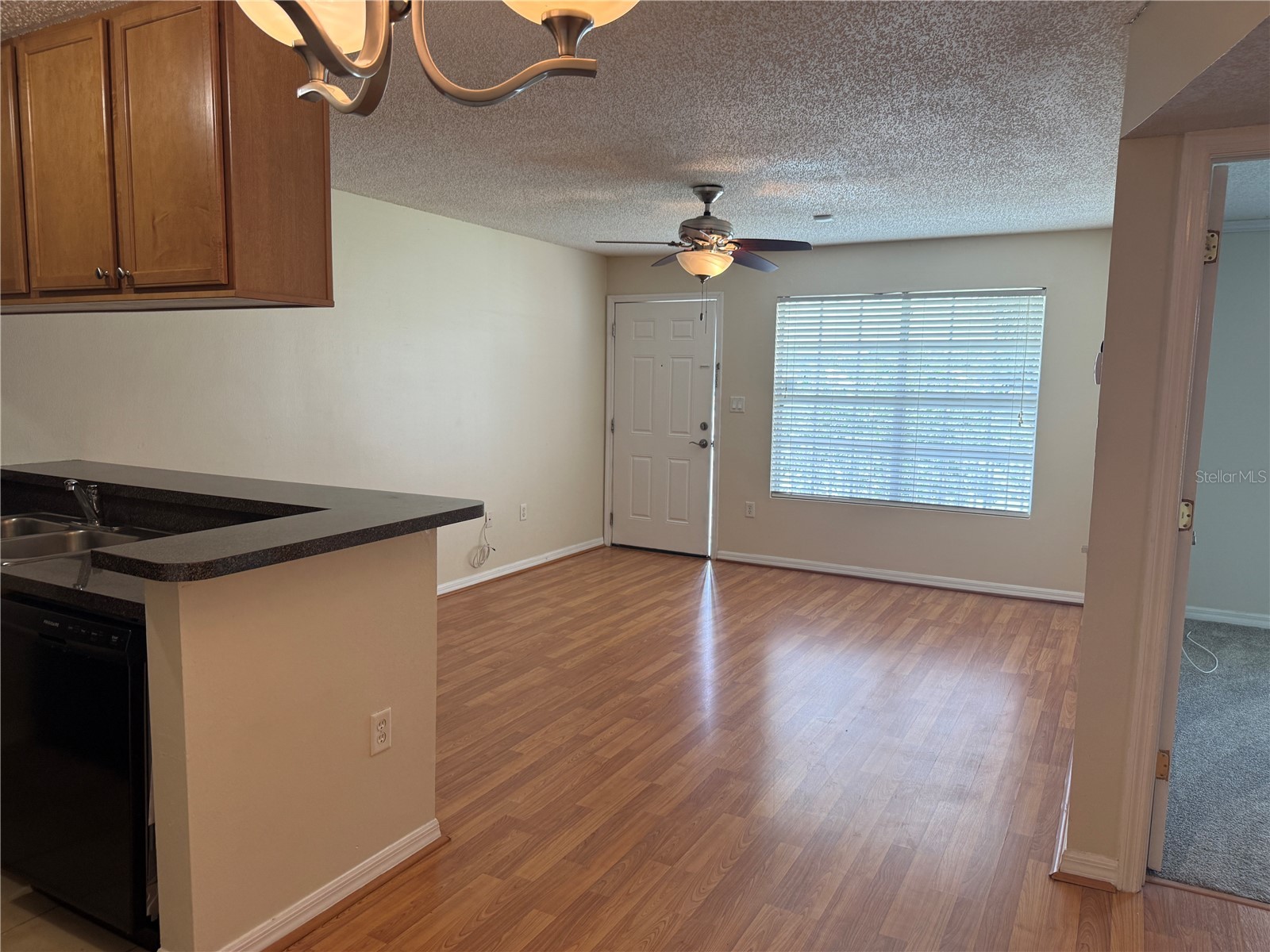 220 Lake Parsons Green #205 Brandon FL 33511 TB8522141 image21