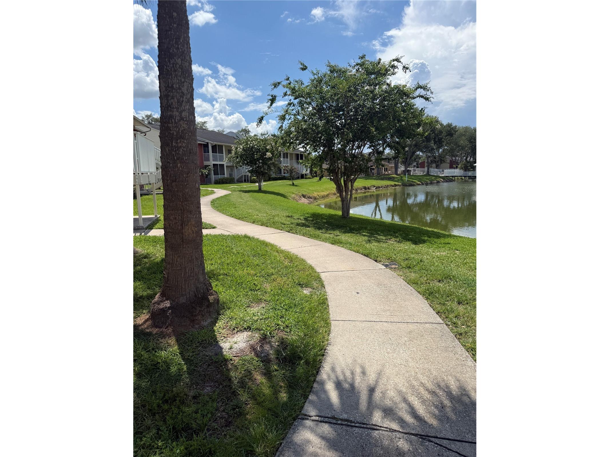 220 Lake Parsons Green #205 Brandon FL 33511 TB8522141 image25