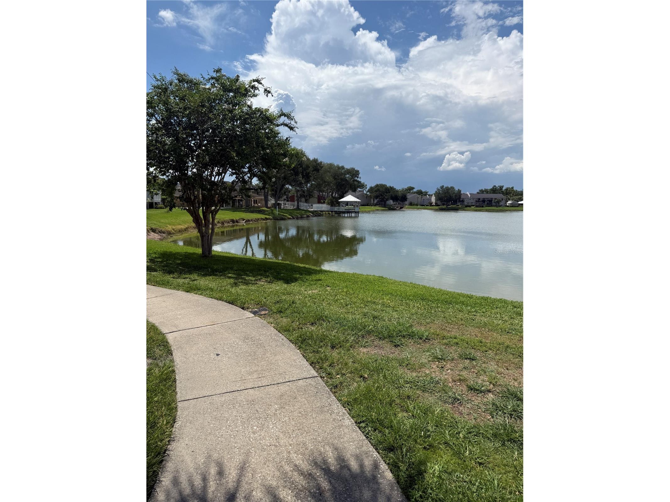 220 Lake Parsons Green #205 Brandon FL 33511 TB8522141 image26