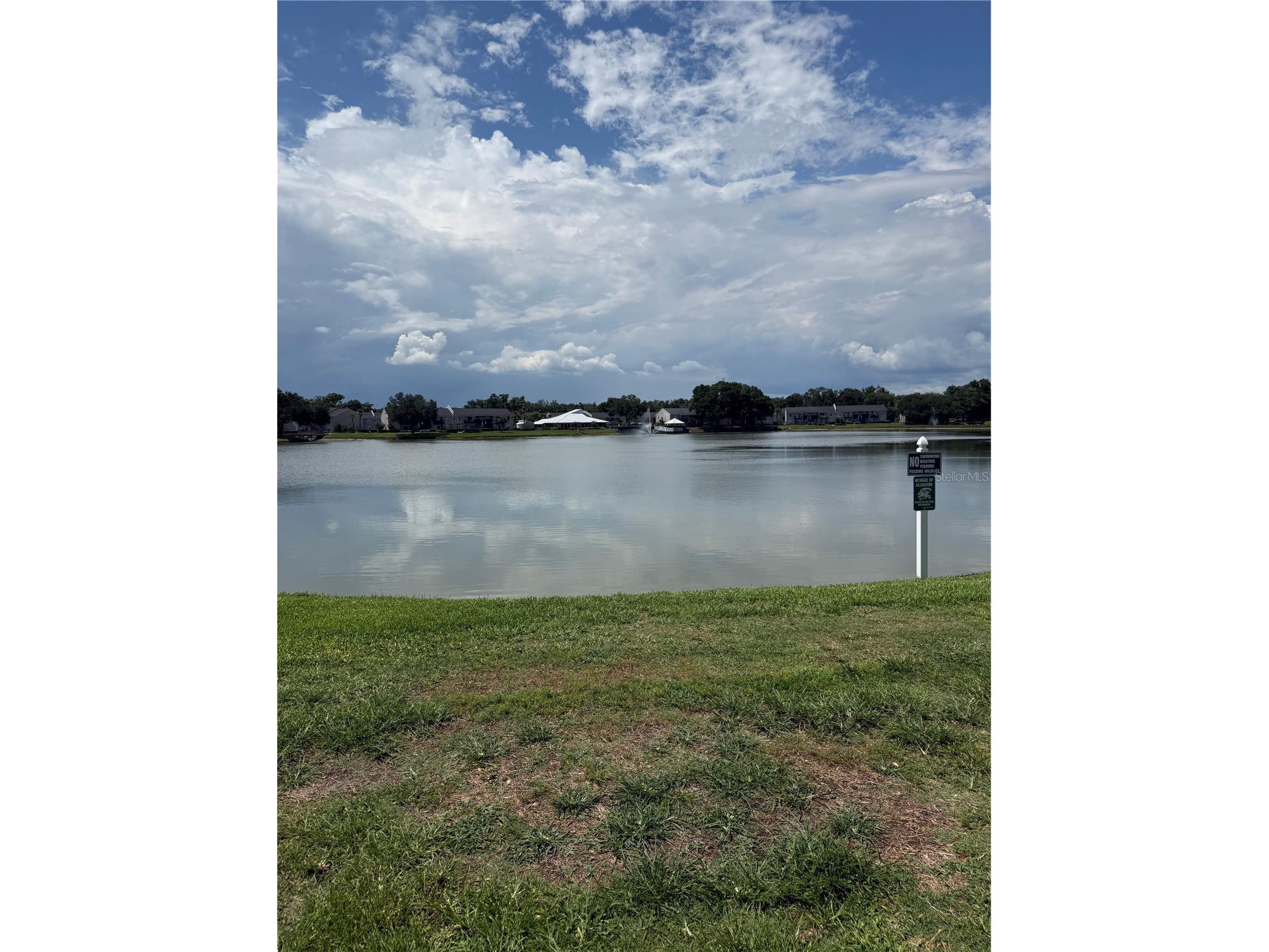 220 Lake Parsons Green #205 Brandon FL 33511 TB8522141 image27