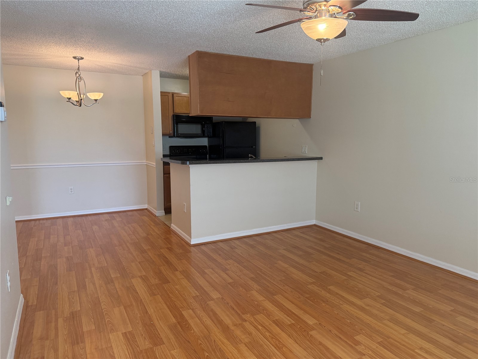 220 Lake Parsons Green #205 Brandon FL 33511 TB8522141 image4