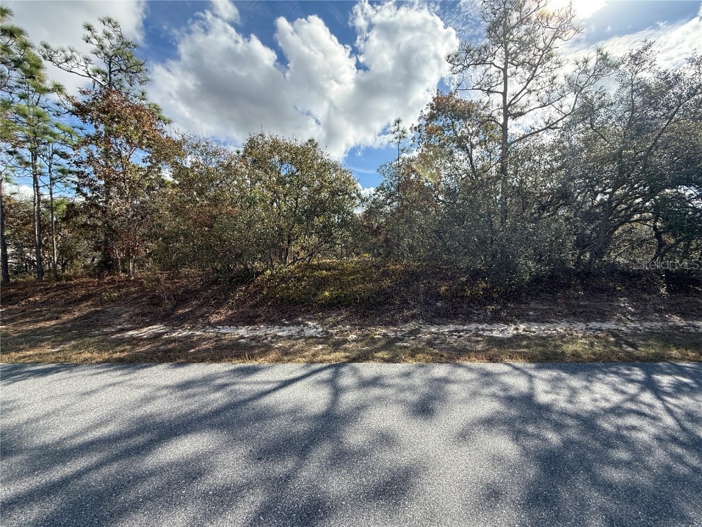 220 Linder Drive Homosassa FL 34446 W7881001 image2