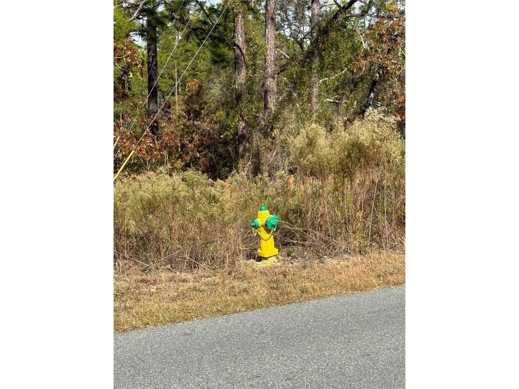 220 Linder Drive Homosassa FL 34446 W7881001 image5