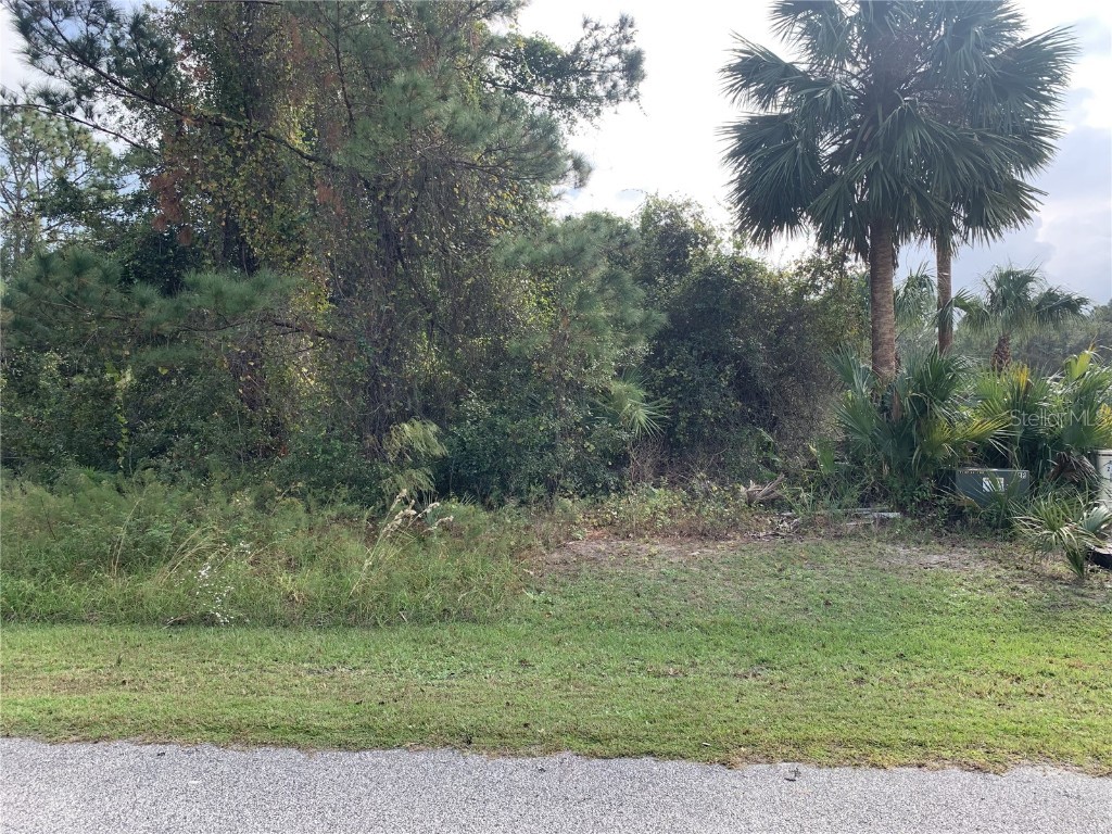 220 Live Oak Boulevard Crescent City FL 32112 V4939414 image2