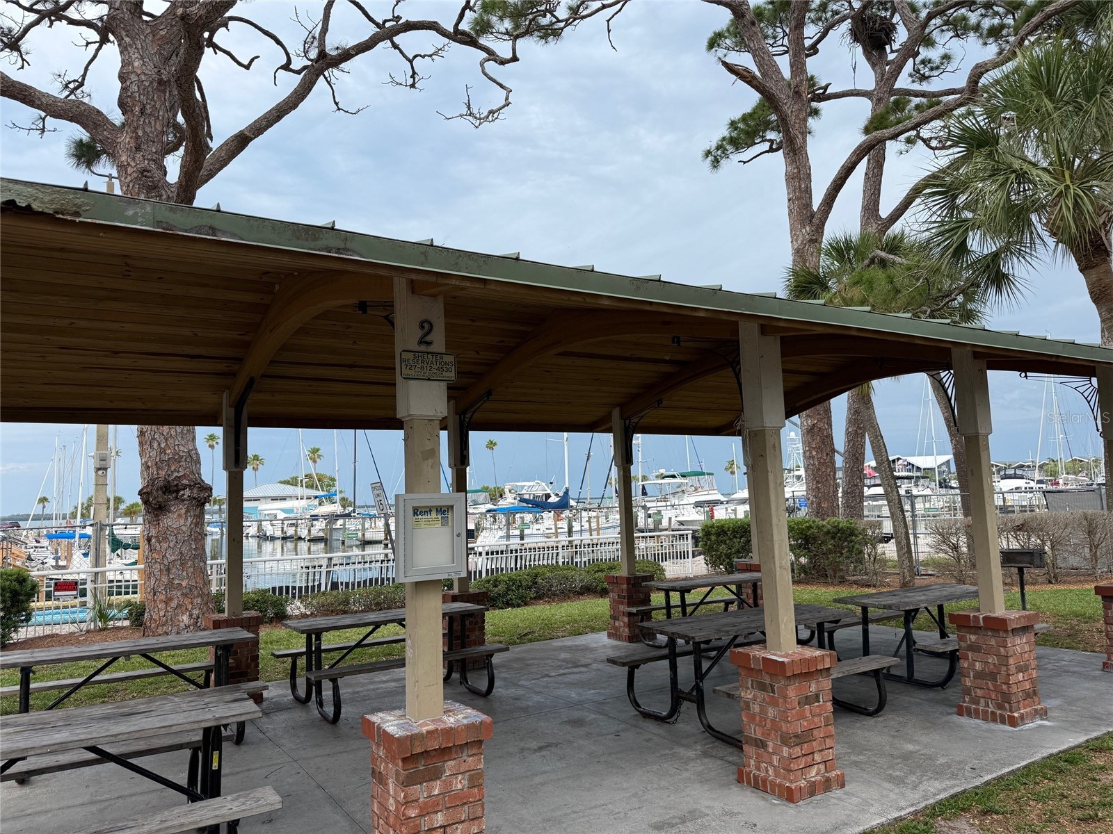 220 Lyndhurst Street Dunedin FL 34698 - ST. JOSEPHS SOUND TB8510442 image35