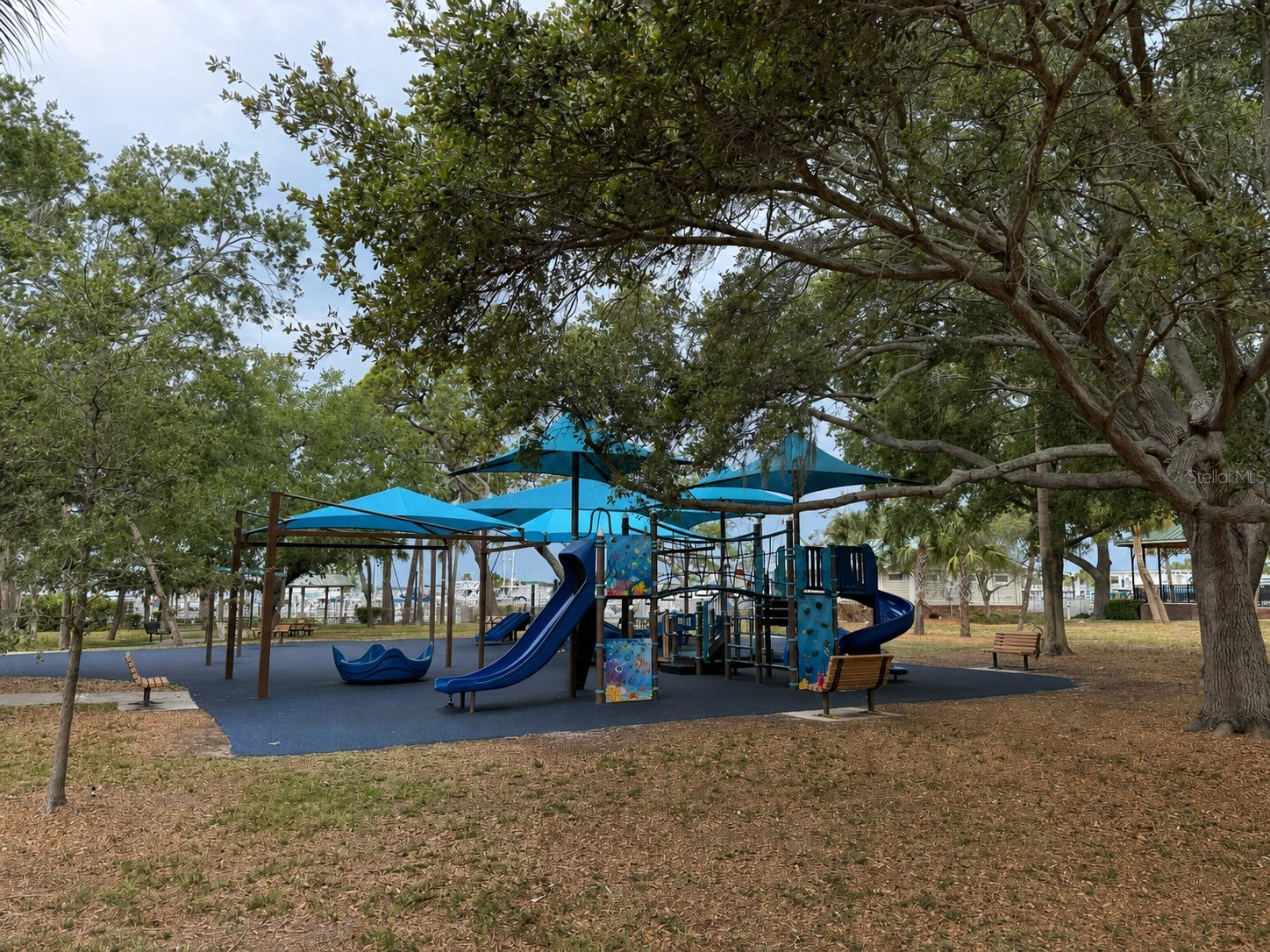 220 Lyndhurst Street Dunedin FL 34698 - ST. JOSEPHS SOUND TB8510442 image36