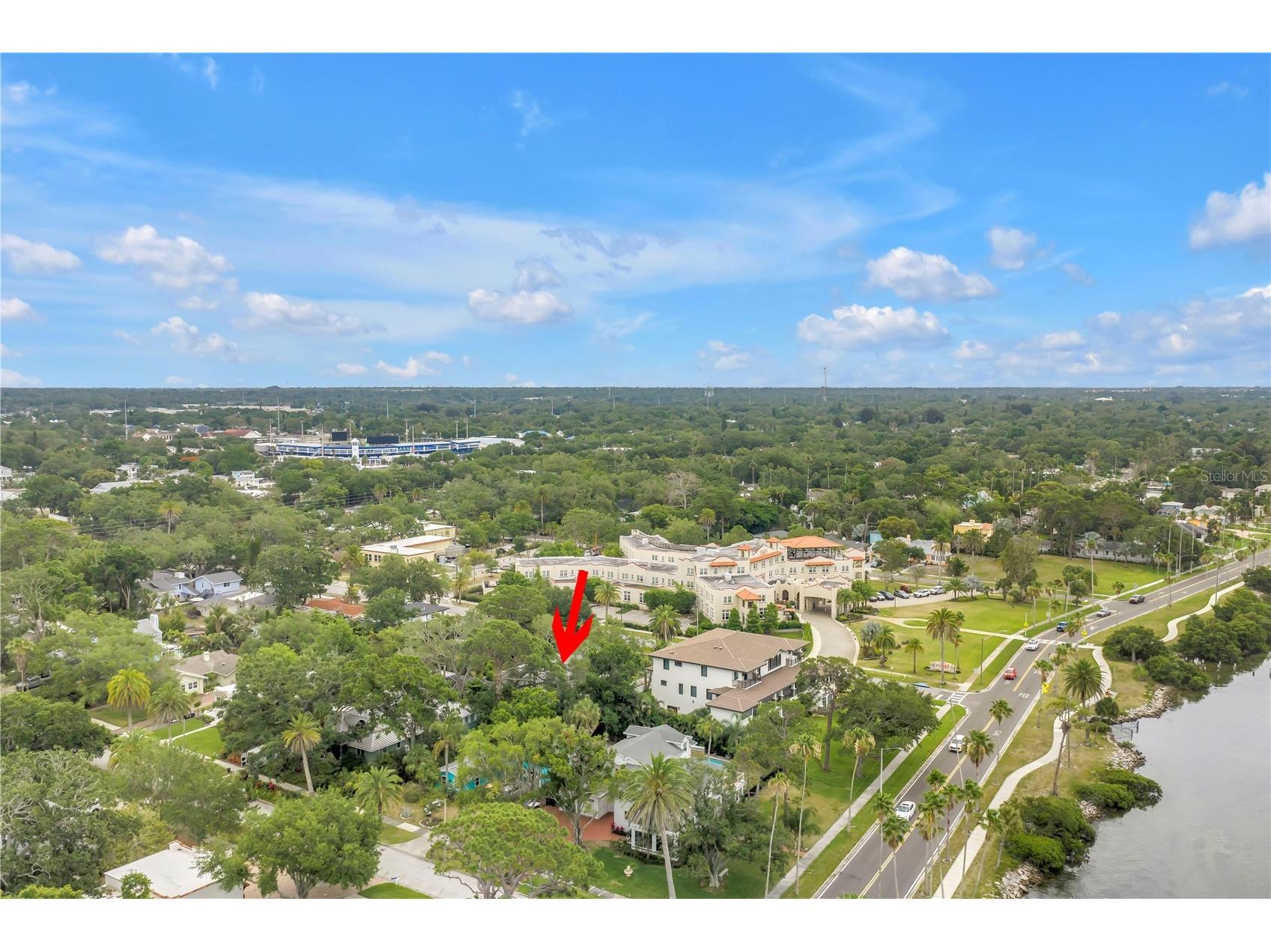 220 Lyndhurst Street Dunedin FL 34698 - ST. JOSEPHS SOUND TB8510442 image4