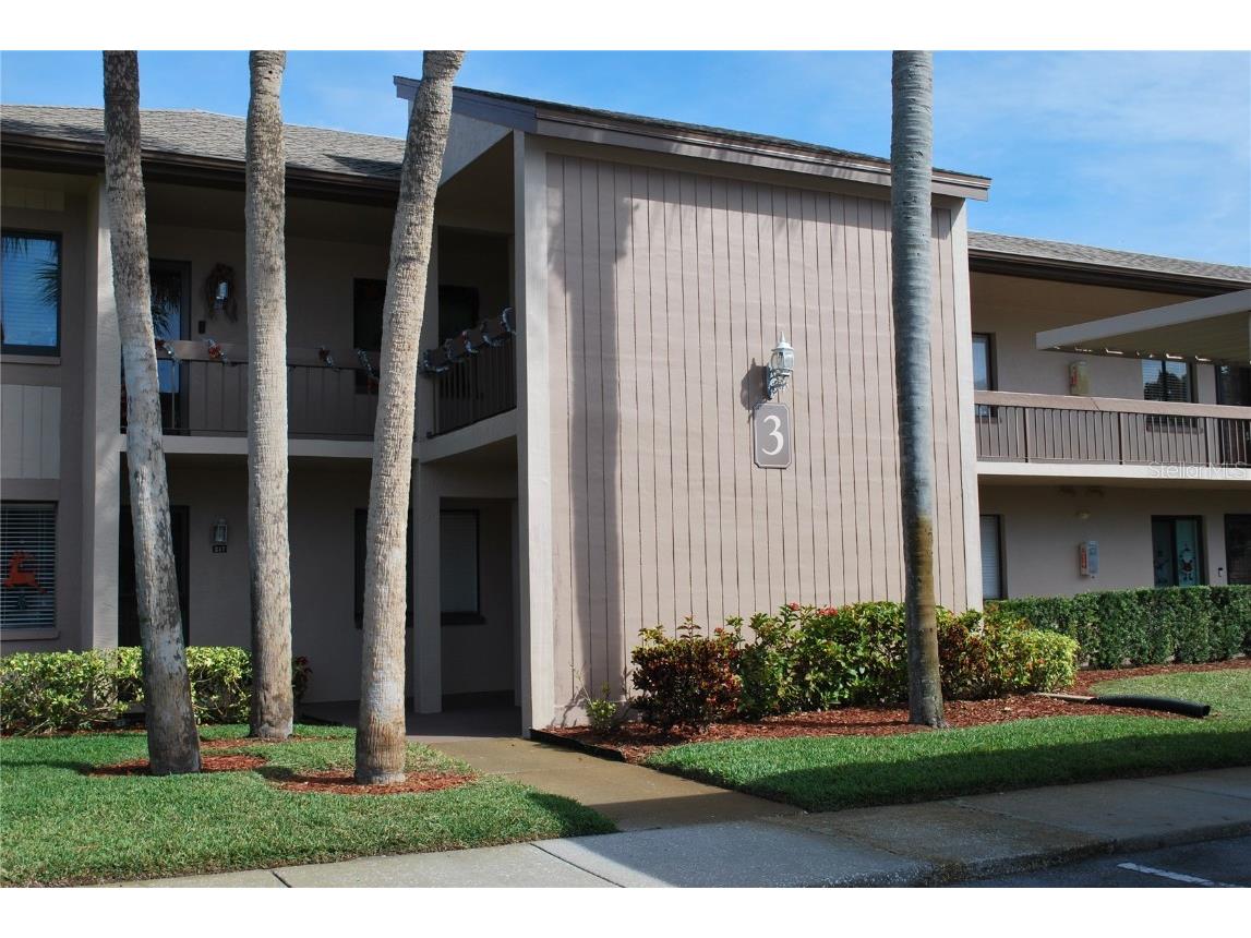 220 Mary Drive #220 Oldsmar FL 34677 U8223315 image1