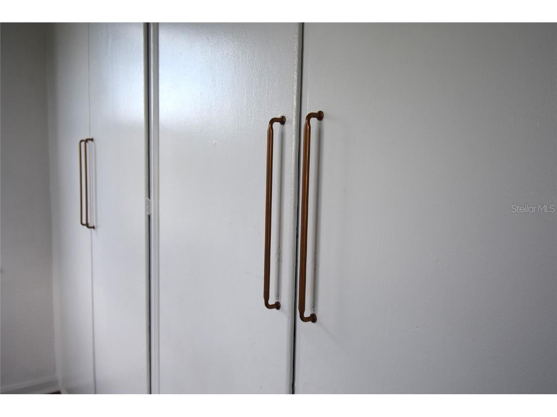 220 Maynard Avenue Orlando FL 32803 O6333561 image37