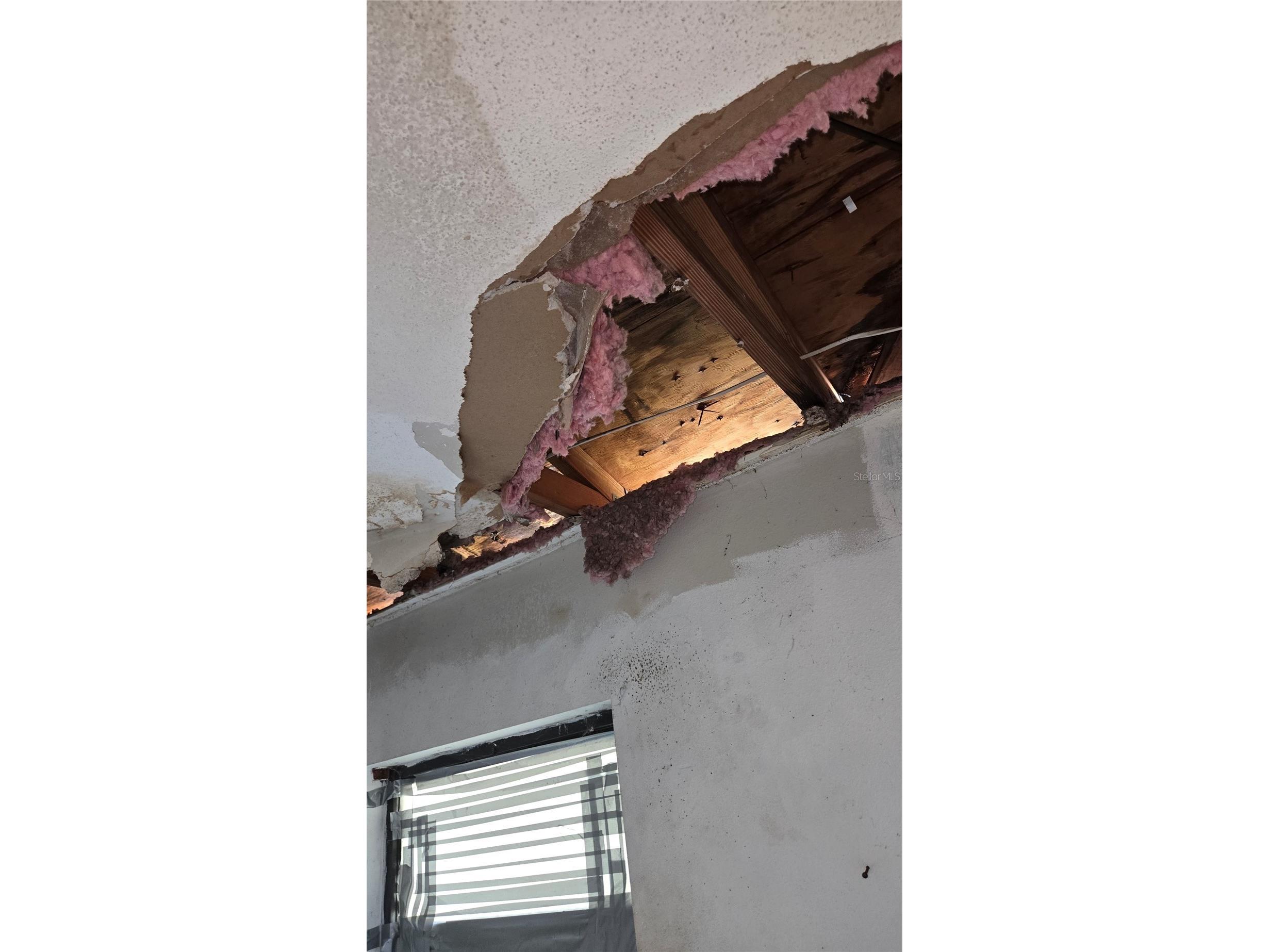220 Mount Pleasant Road Nokomis FL 34275 N6145128 image15