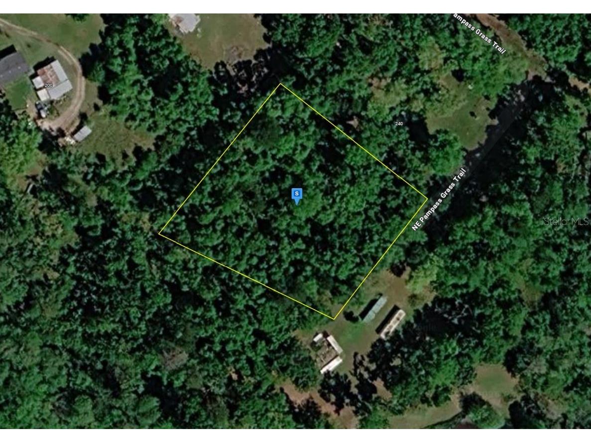 220 NE Pampass Grass Trail Pinetta FL 32350 A4691826 image1